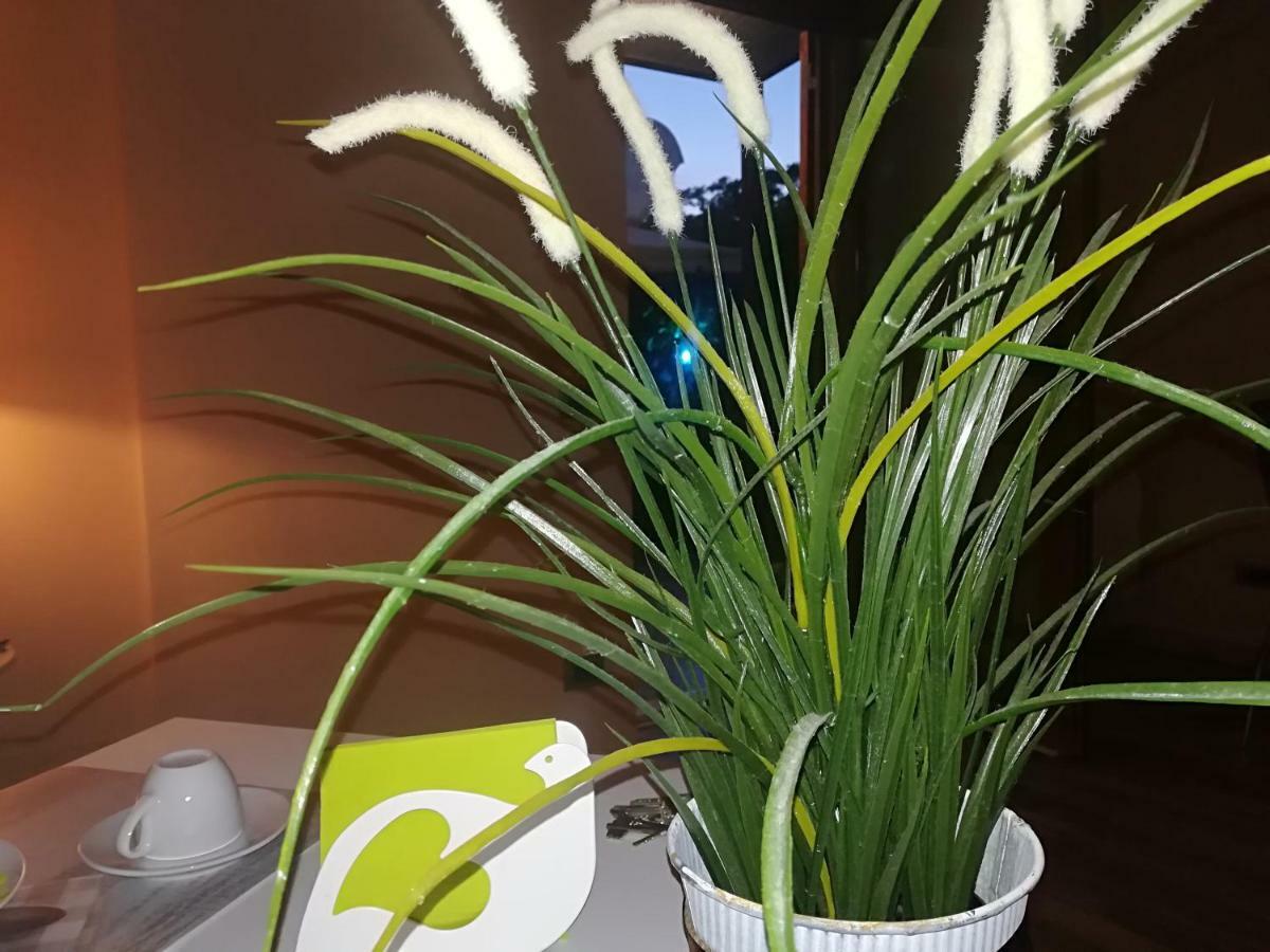 B&B Elisir 로마 외부 사진